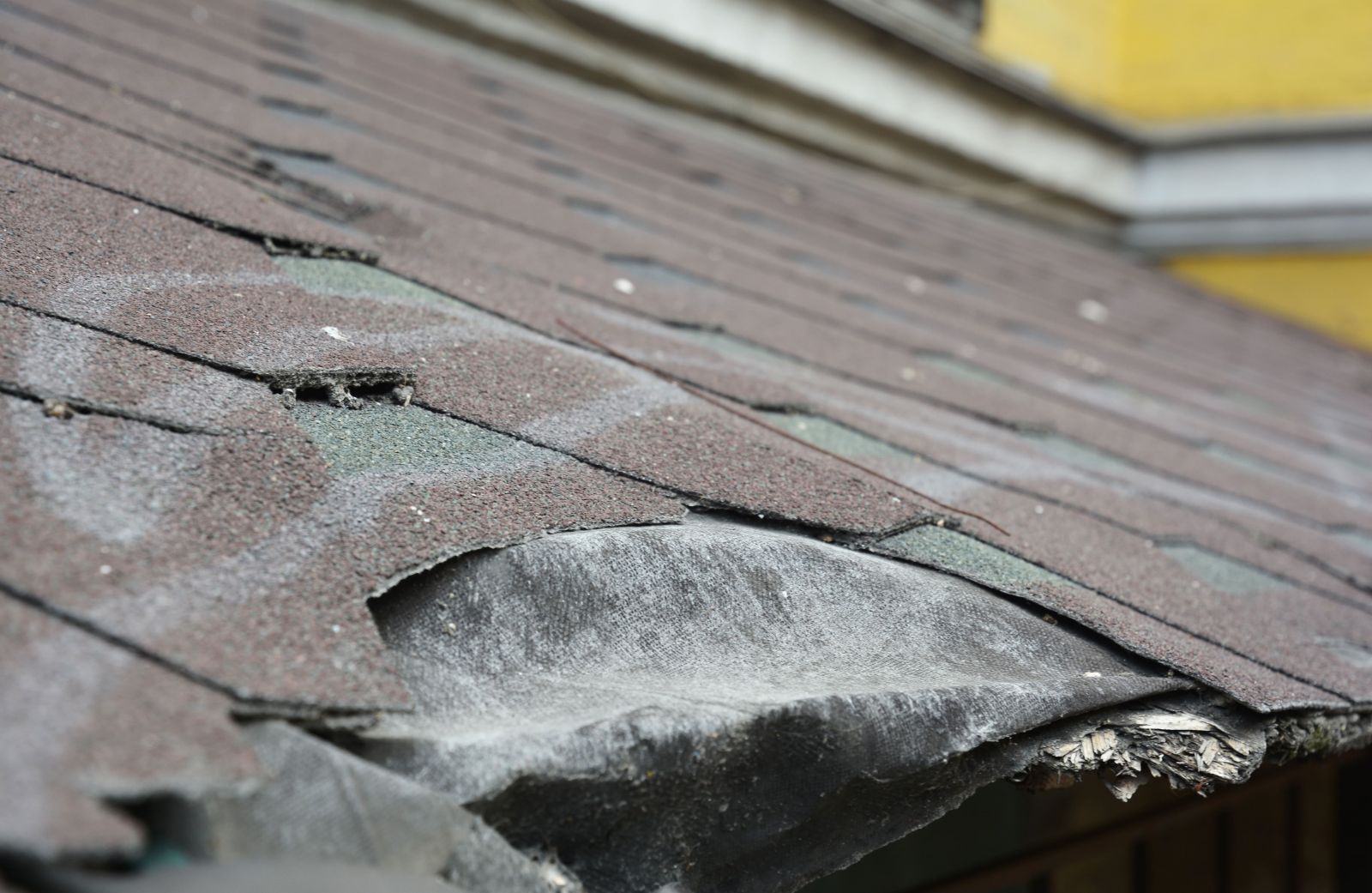Guaranteed Affordable Roofing Images