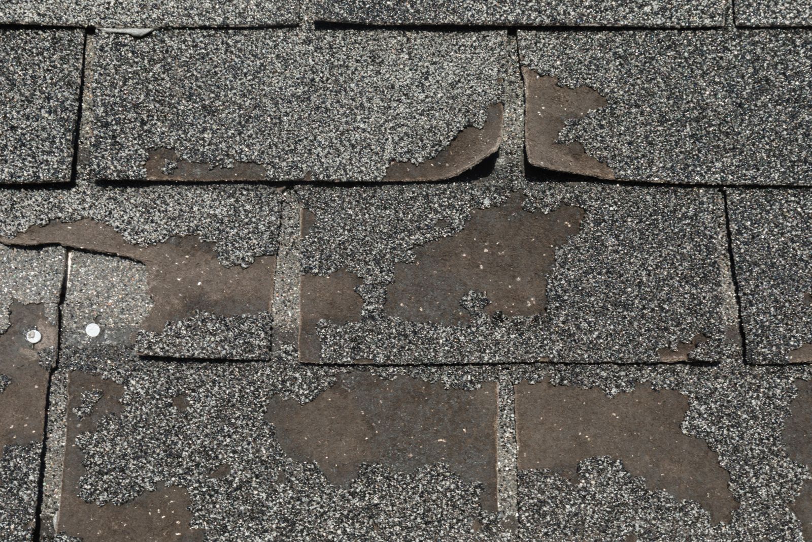 Guaranteed Affordable Roofing Images